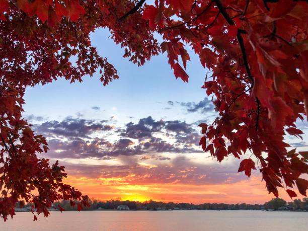 istock Autumn at the lake 1632524497