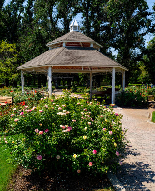 istock Rose garden flowers and covered patio 1632524523