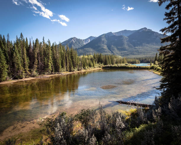 istock Canadian Rocky Mountains Landscapes 1632525314