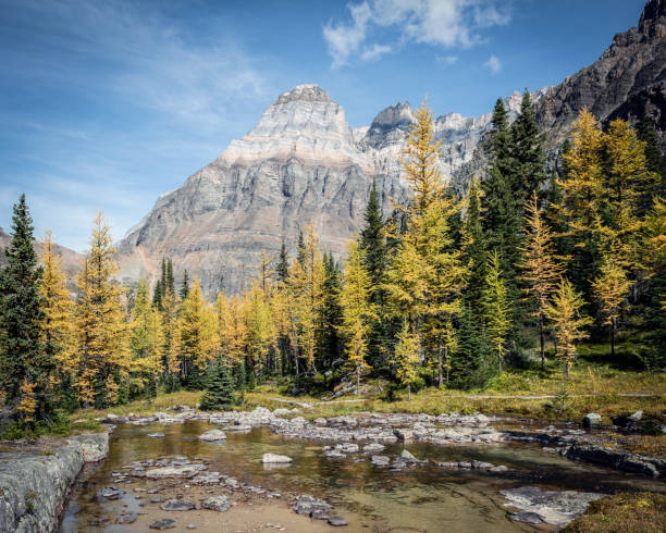 istock Canadian Rocky Mountains Landscapes 1632525416