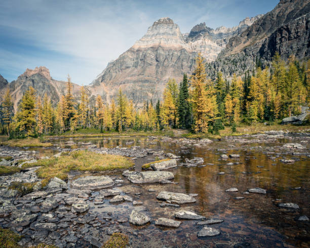 istock Canadian Rocky Mountains Landscapes 1632525418