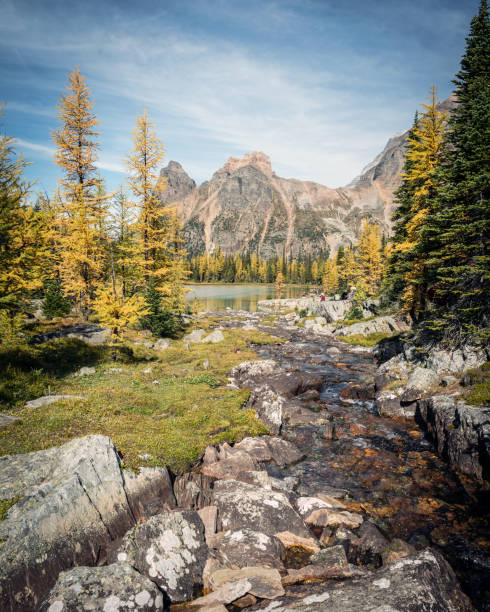 istock Canadian Rocky Mountains Landscapes 1632529304