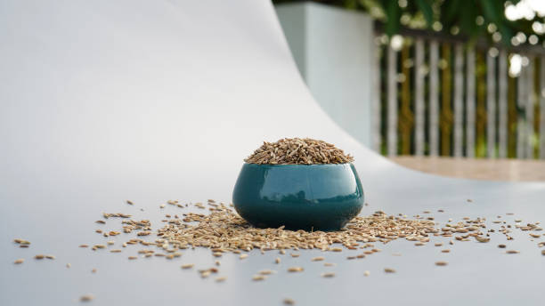 Cumin or jeera seeds into a bowl isolated in beautiful background