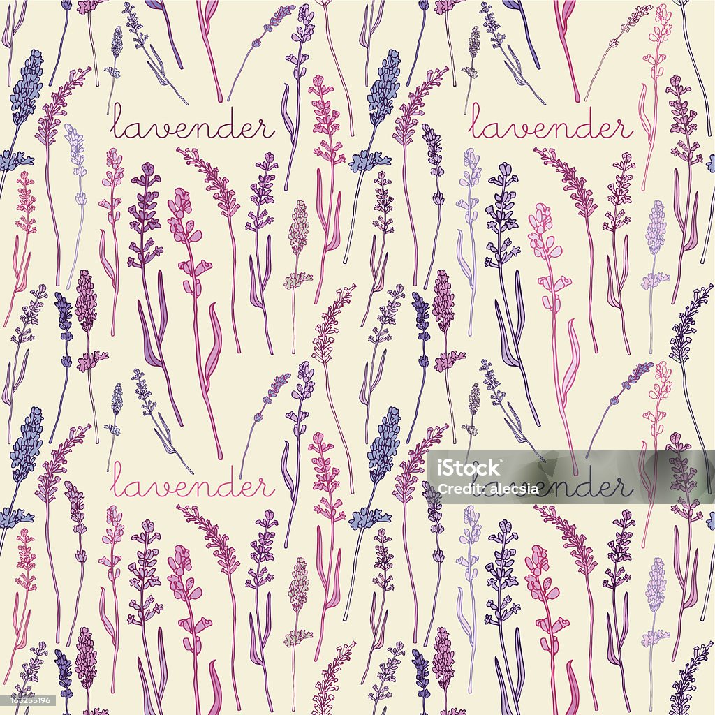 Sem costura fundo com Lavanda - Royalty-free Cor de Lavanda arte vetorial