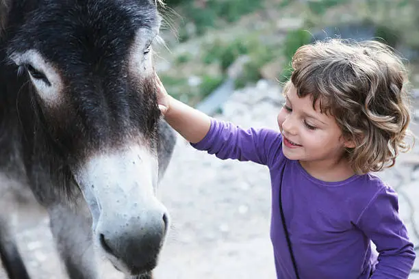 girl wearing a purple shirt smiling next to donkey in a petting zoo