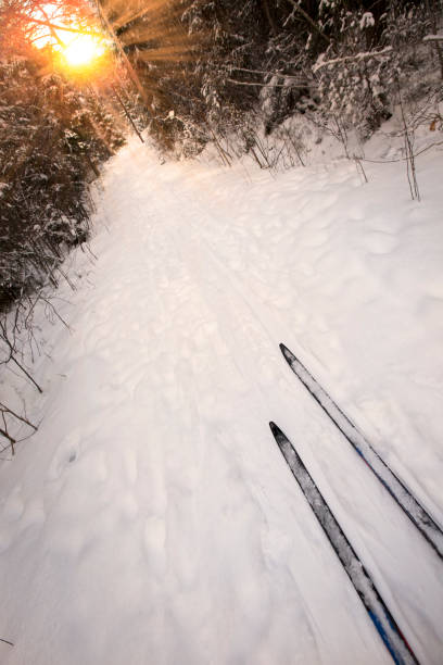 Cross-country skiing in Sweden