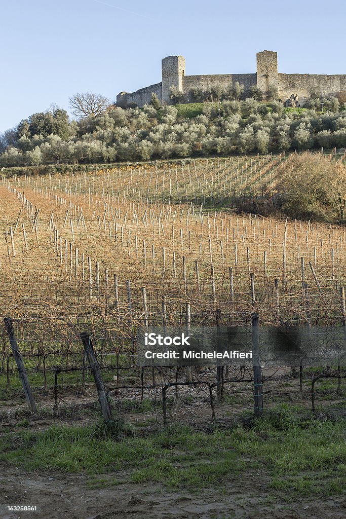 Vinhedos no inverno, perto de monteriggioni, Toscana, Itália - Foto de stock de Agricultura royalty-free