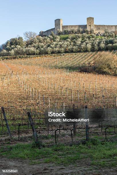 Foto de Vinhedos No Inverno Perto De Monteriggioni Toscana Itália e mais fotos de stock de Agricultura