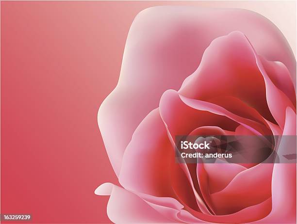 Rose001 Stock Illustration - Download Image Now - Backgrounds, Decoration, Illustration