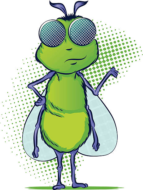 Insect Cartoon Character vector art illustration