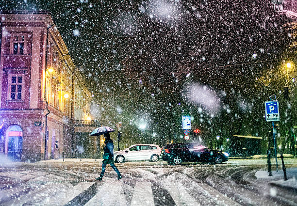 istock Urban road in heavy snow storm 163260982