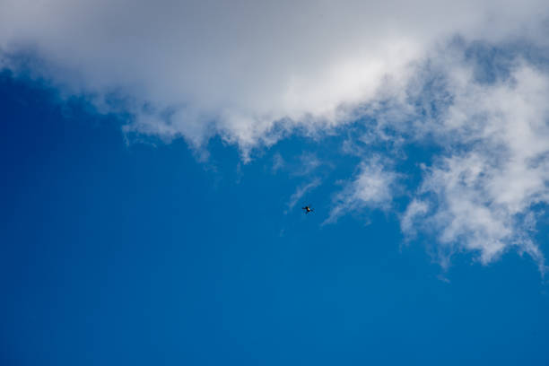 Small drone in the blue sky of Kharkiv