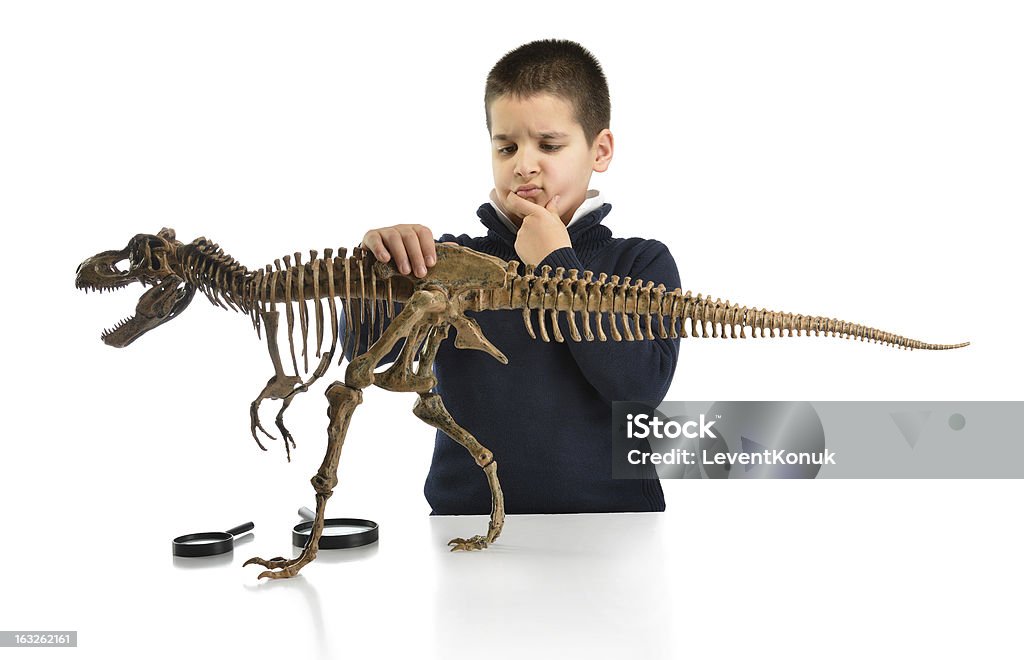 Kleine Wissenschaftler Denken - Lizenzfrei Dinosaurier Stock-Foto