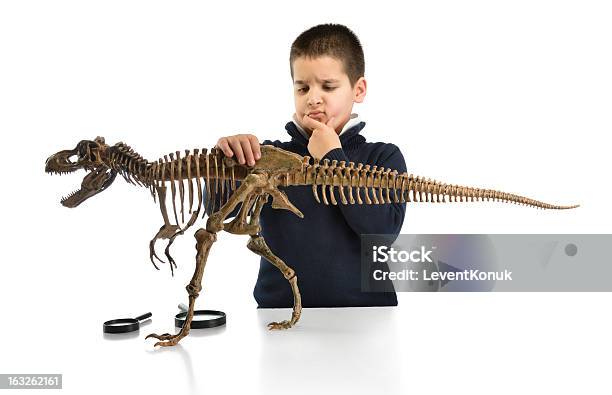 Kleine Wissenschaftler Denken Stockfoto und mehr Bilder von Dinosaurier - Dinosaurier, Fotografie, Tierisches Skelett