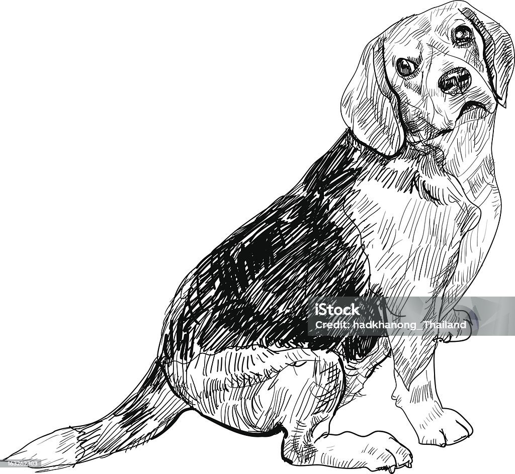 Beagle - Grafika wektorowa royalty-free (Beagle)