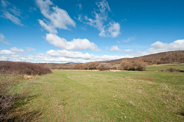 istock Countryside in Burgos 163262620