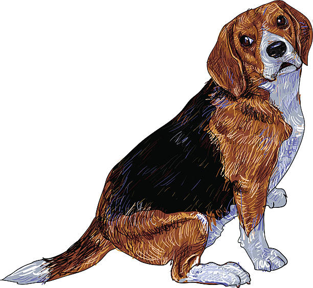 비글종, - tracing red pets dog stock illustrations