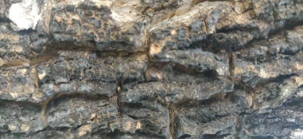 istock Texture of wood 1632633018