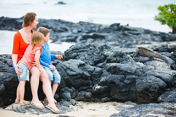 Mother and kids looking at endemic marine iguana at Galapagos islands