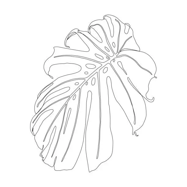Vector illustration of Monstera Leaf Continuous Line Drawing with an Editable Stroke