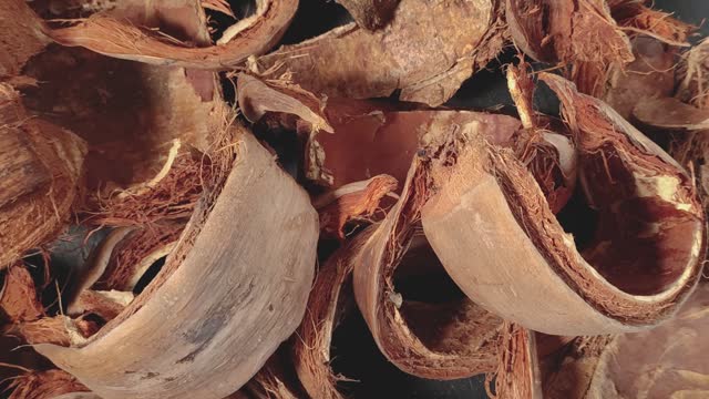 close-up of dried coconut husk, outer husk of coconut fruit
