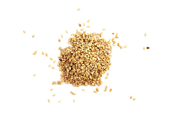 Sesame Seeds Sesame seed is considered to be the oldest oilseed crop known to humanity sesame seed stock pictures, royalty-free photos & images