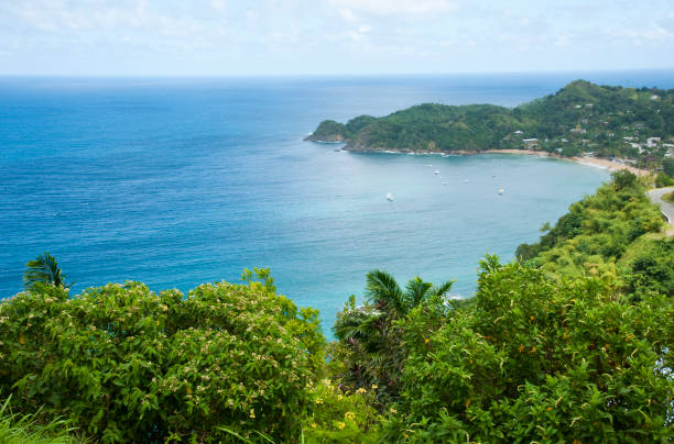 istock Land Meets Sea 163268660