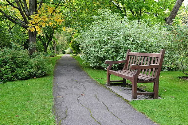 Wooden Bench and Pathway in a Beautiful Public Park