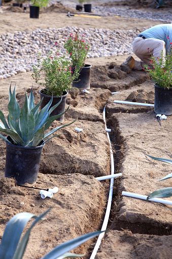 Xeriscaped landscaping and Laying irrigation tubes underground. This style of landscaping conserves water.