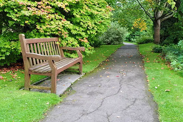 Pathway and Wooden Bench in a Peaceful Green Park