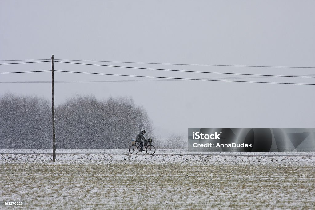 Schneesturm in den Feldern - Lizenzfrei Agrarland Stock-Foto