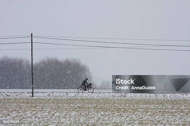 Schneesturm In Den Feldern Stockfoto und mehr Bilder von Agrarland - Agrarland, Ast - Pflanzenbestandteil, Baum