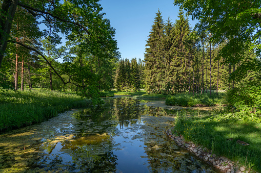 View of the the Upper Ponds in the Catherine Park of Tsarskoye Selo on a sunny summer day, Pushkin, St. Petersburg, Russia