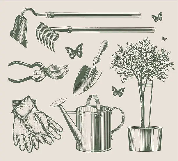 Vector illustration of Vintage garden equipments