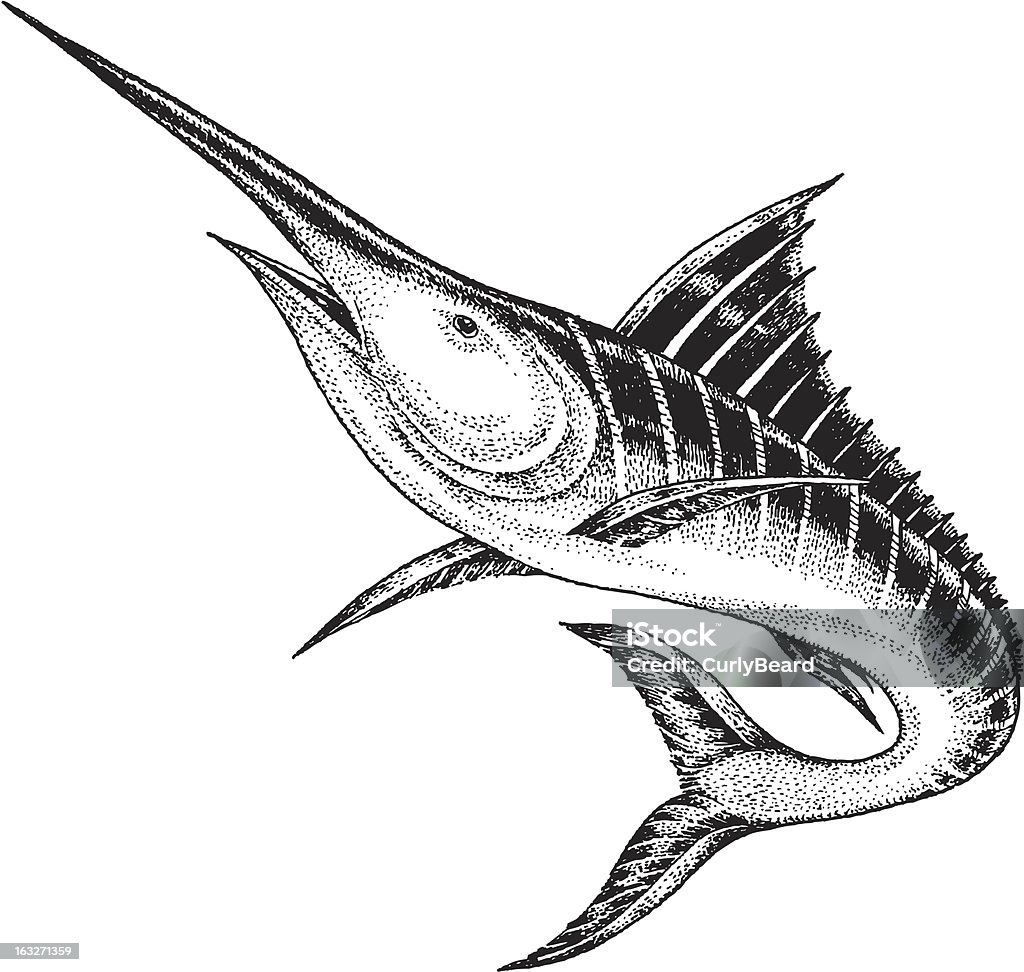 Marlin - arte vectorial de Pez espada libre de derechos