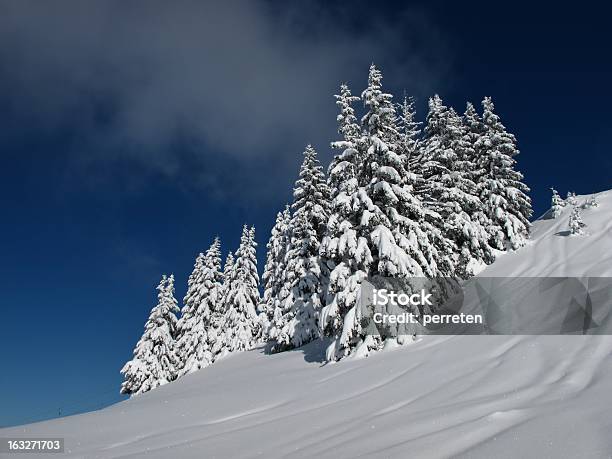 De Invierno Dream Foto de stock y más banco de imágenes de Abeto Picea - Abeto Picea, Aire libre, Alpes Bernese