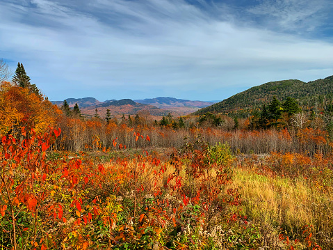 CL Graham Wangan Overlook during foliage season in White Mountain National Forest, Kancamagus Highway, New Hampshire