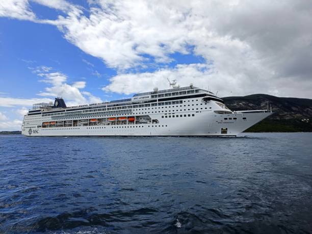 msc armonia segelt in der bucht von kotor - editorial sea white ship stock-fotos und bilder