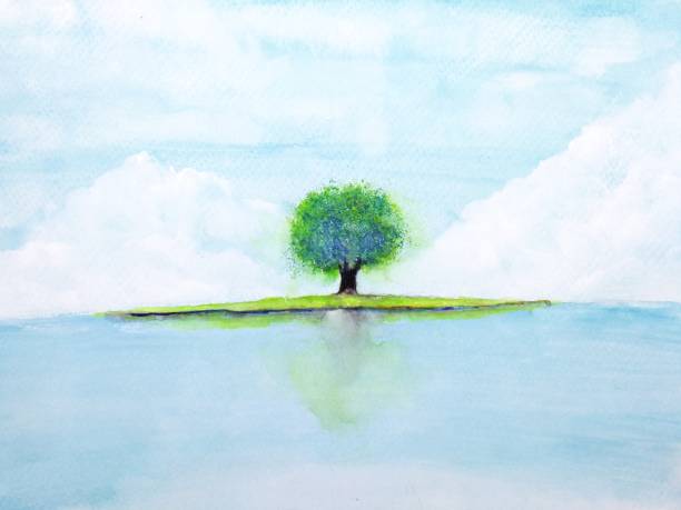 Free Stock Photo of Tree Standing in the Middle of a Lake | Download ...