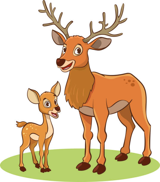 어미 노루와 아기 노루의 벡터 그림 - stag deer doe cartoon stock illustrations