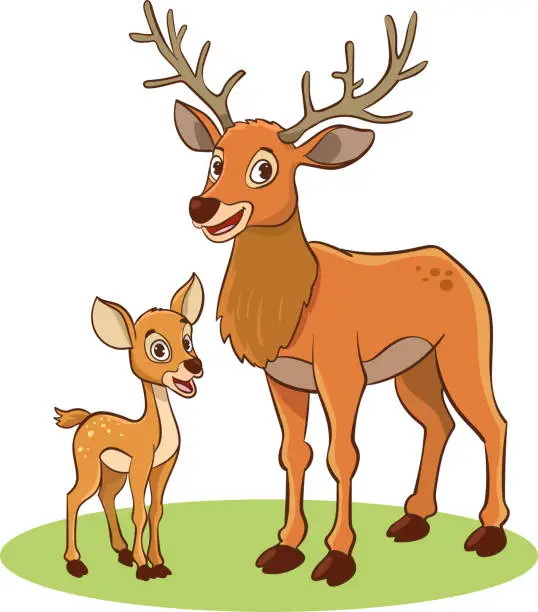 Vector illustration of vector illustration of mother roe deer and baby roe deer
