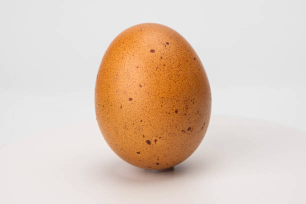 istock Egg isolated on white background. raw chicken egg close up 1632942639