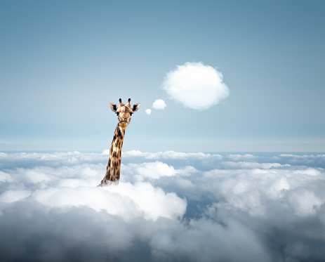 Two curious giraffes looking out from the clouds.