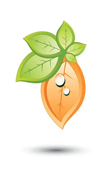 Vector illustration of Cluster of orange and green leaves