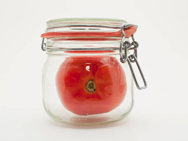 Tomato in mason jar stock photo