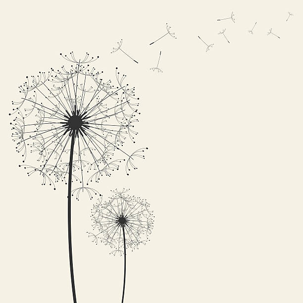 dandelions - fragility stock illustrations
