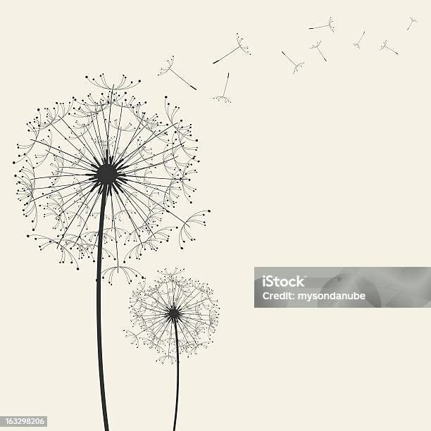 Dandelions Stock Illustration - Download Image Now - Dandelion, Illustration, Blowing
