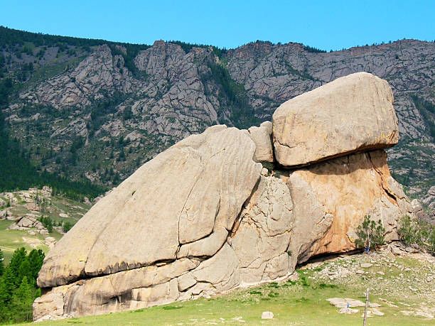 istock Large stone turtle in the National Park, Mongolia 163298445
