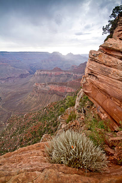 Nuvens de chuva sobre o Grand Canyon ao Anoitecer - fotografia de stock