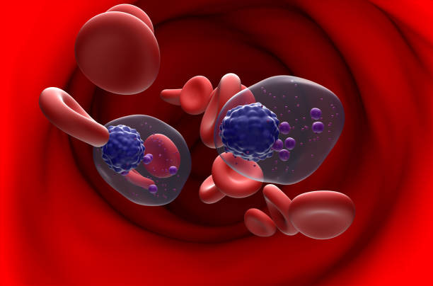 células de mieloma múltiple (mm) en el flujo sanguíneo - vista de sección ilustración 3d - laboratory healthcare and medicine cancer drug histology fotografías e imágenes de stock